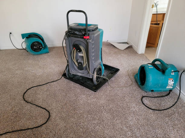 Best Fire Damage Restoration  in Cloverdale, IN