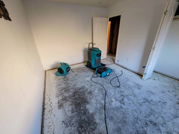 Best Flood restoration services  in Cloverdale, IN