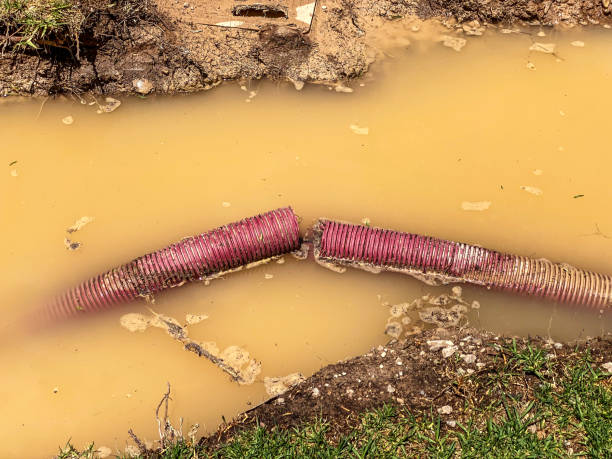 Best Water damage cleanup near me  in Cloverdale, IN